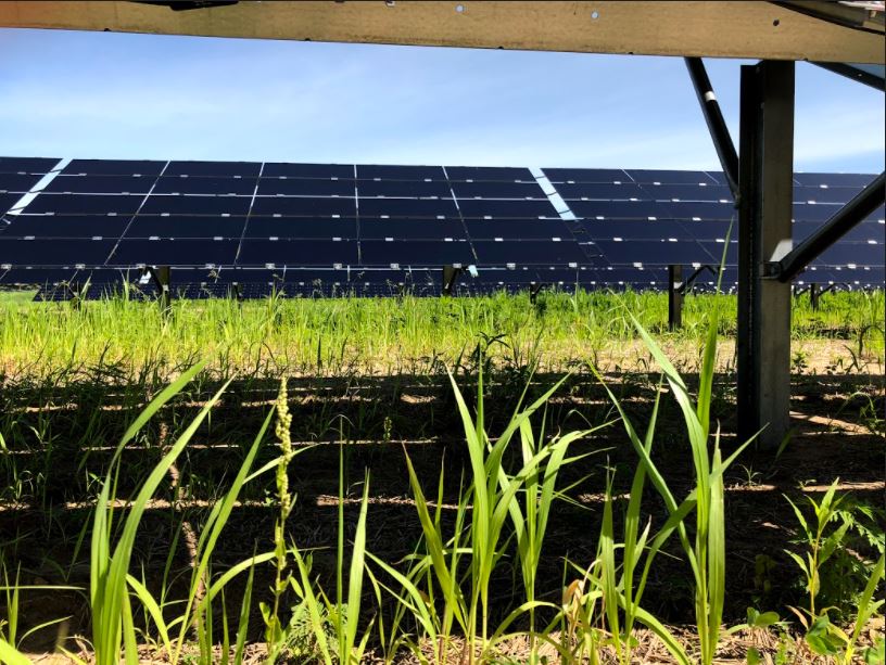 Yeoman Creek Image 5